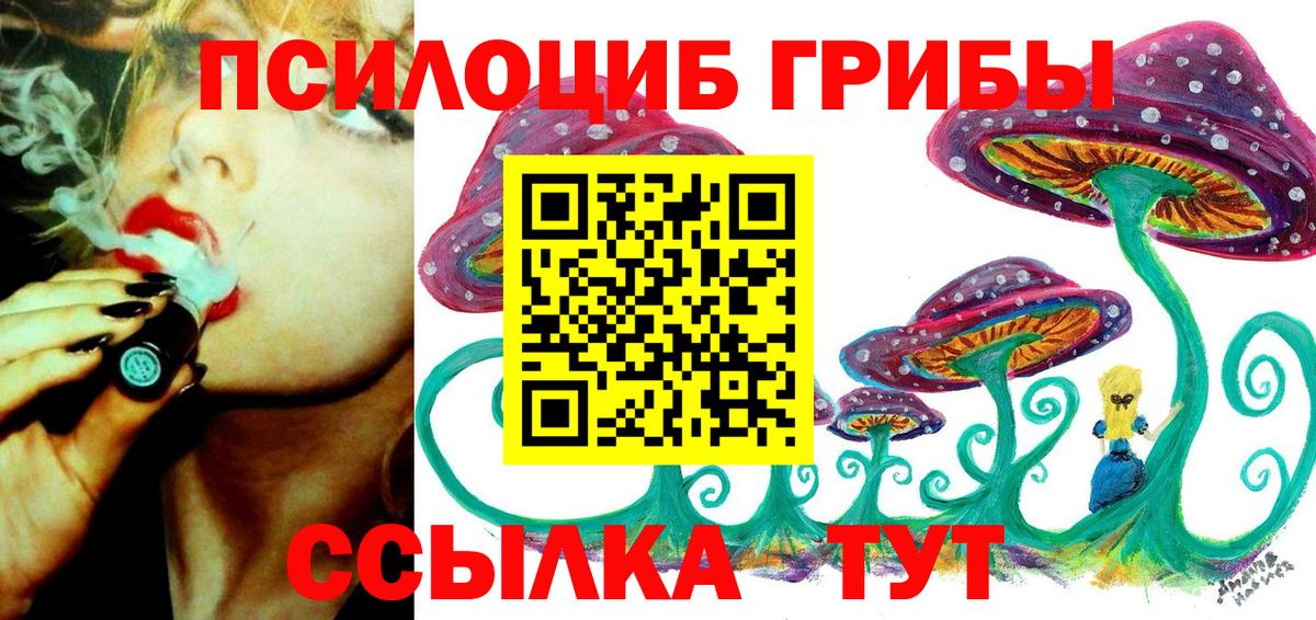 Псилоцибиновые грибы Psilocybine cubensis Шелехов